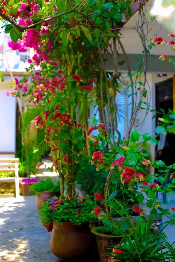 Garden Lodge Zanzibar Esterno foto