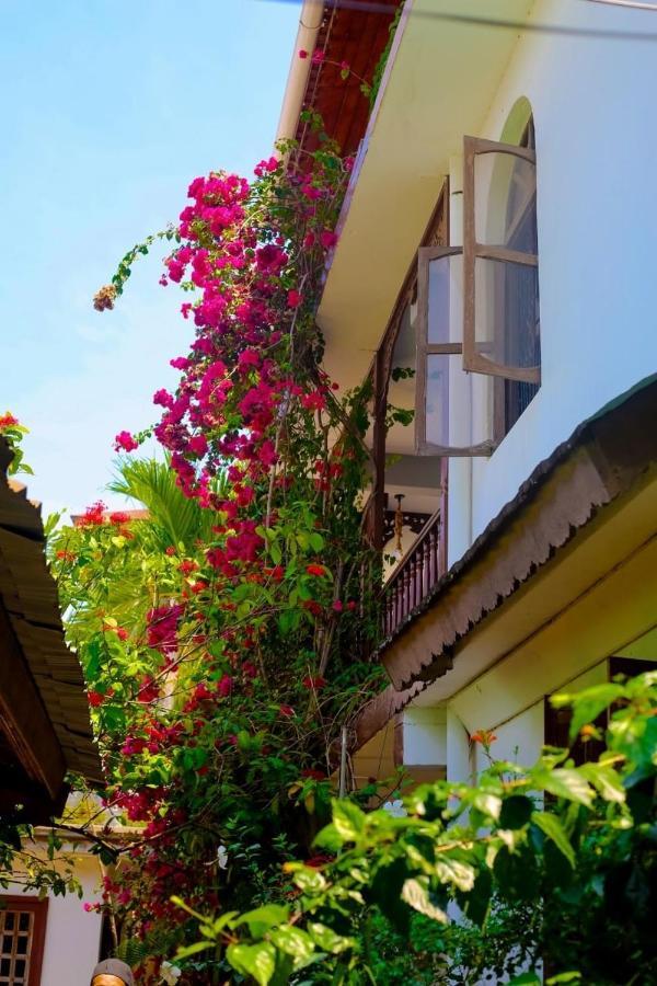Garden Lodge Zanzibar Esterno foto